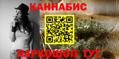 прущие крисы Будённовск