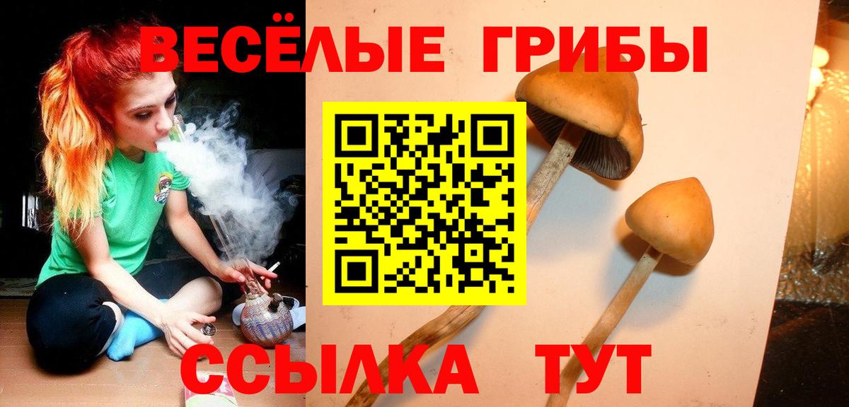 Псилоцибиновые грибы Psilocybe  продажа наркотиков  Хабаровск  Вход с VPN 